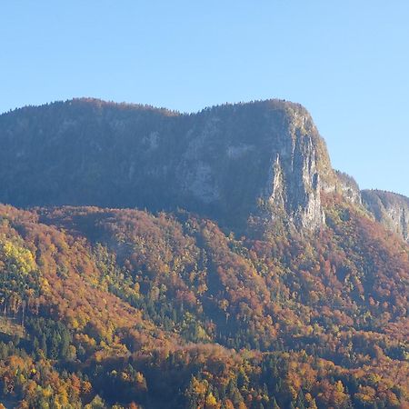 Apartmaji Pr'Pisk Bohinjska Bela Exterior photo
